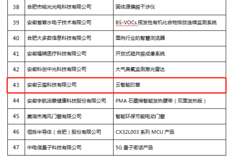 恭喜！云智能印章入選安徽省第九批信息消費(fèi)創(chuàng)新產(chǎn)品名單！(圖3)